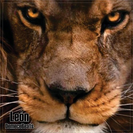 león | Boomplay Music