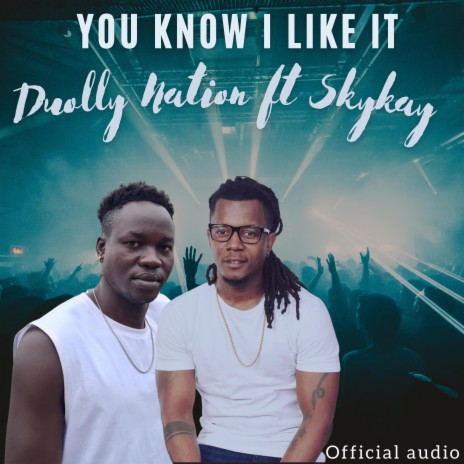You Know I Like It ft. Skykay | Boomplay Music