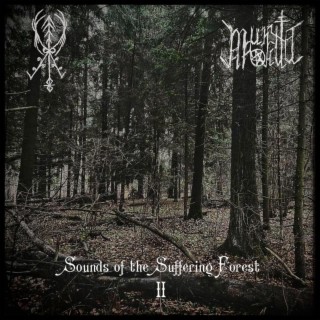 Sounds of the Suffering Forest II