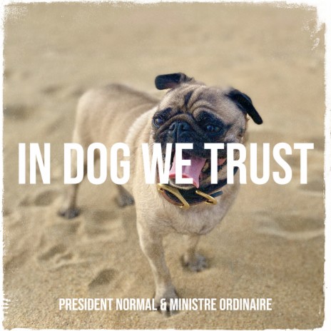 In Dog We Trust | Boomplay Music