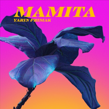 Mamita (Instrumental Version) | Boomplay Music