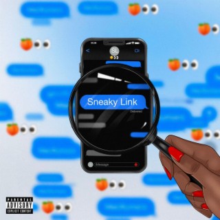 Sneaky Link lyrics | Boomplay Music