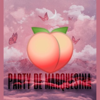 Party de marquesina