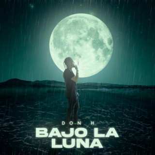 Bajo La Luna