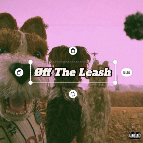 Øff the leash | Boomplay Music