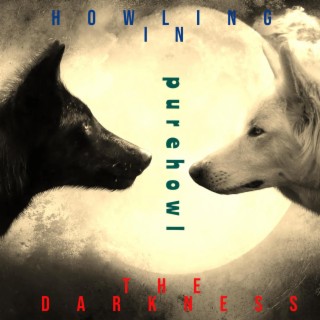 Howling In The Darkness