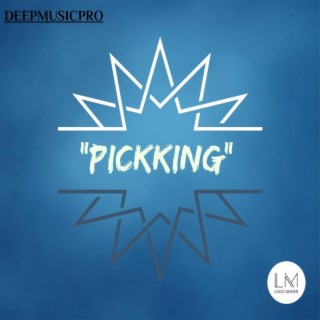 Picking (Instrumental)