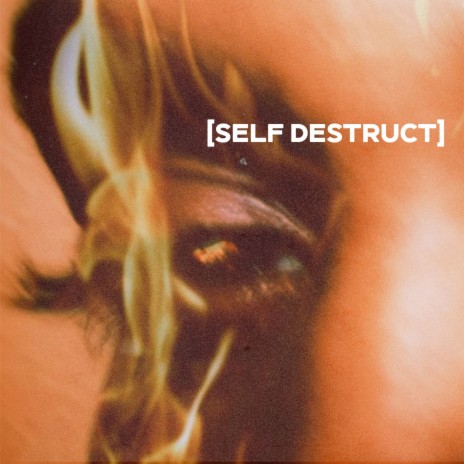 Self Destruct | Boomplay Music