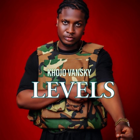 LEVELS | Boomplay Music