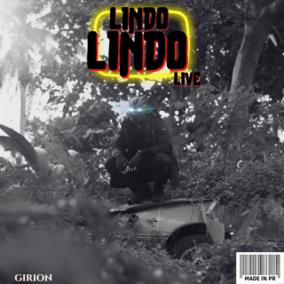 LINDOLINDOlive