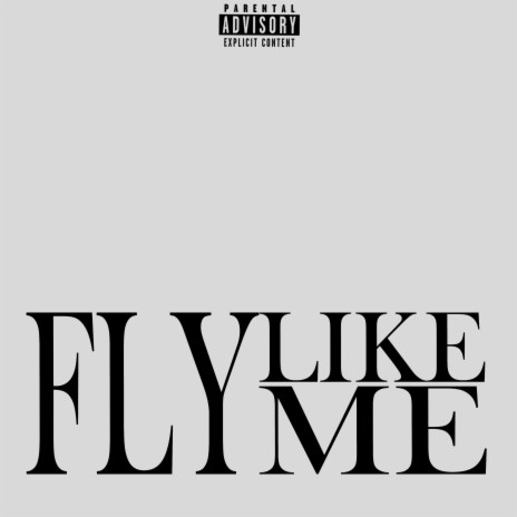 Fly Like Me | Boomplay Music