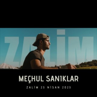 Zalim lyrics | Boomplay Music