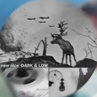 Dark & Low