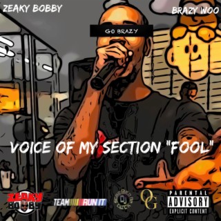 Voice Of My Section Fool