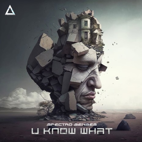 U Know What (Original Mix) | Boomplay Music