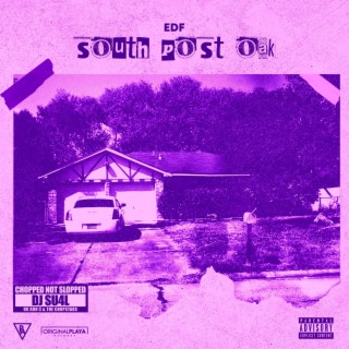 South Post Oak: Chopped Not Slopped (Chopped Not Slopped)