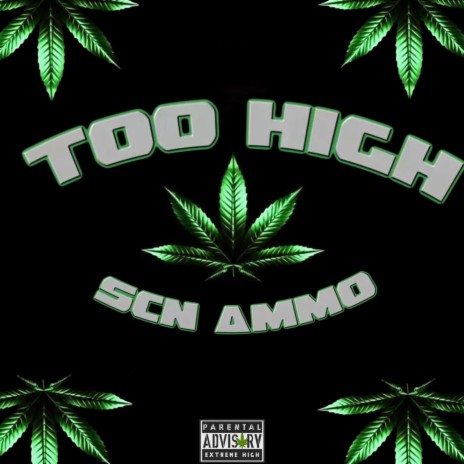 Too high | Boomplay Music