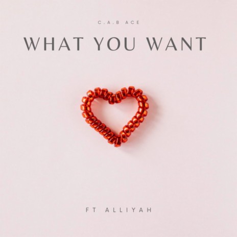 What You Want ft. Alliyah | Boomplay Music