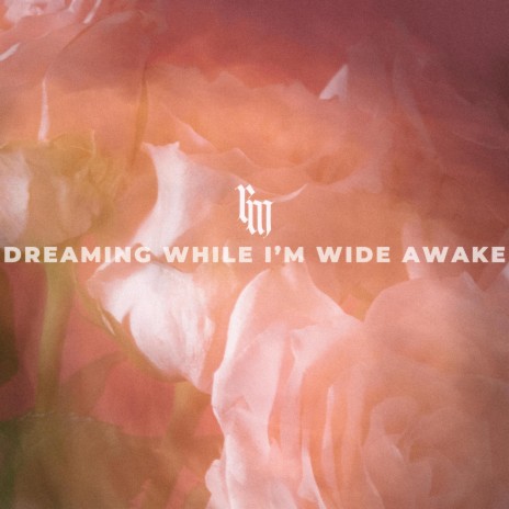 Dreaming While I'm Wide Awake | Boomplay Music