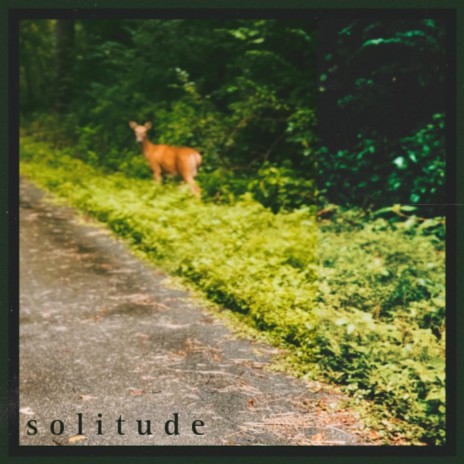 solitude | Boomplay Music
