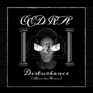 Disturbance (Storm kei Remix)