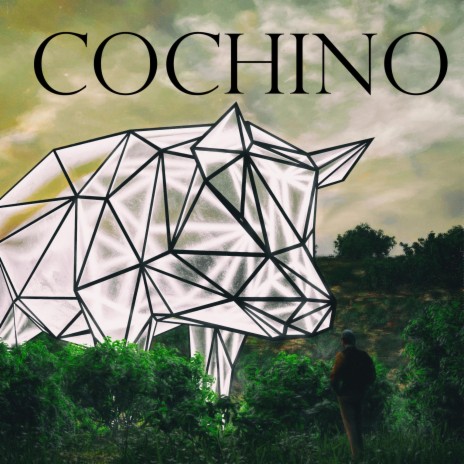 Cochino | Boomplay Music