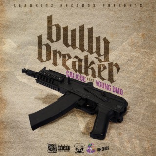 Bully Breaker