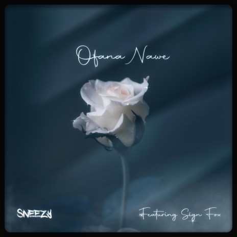 Ofana Nawe (feat. Sign Fox) | Boomplay Music