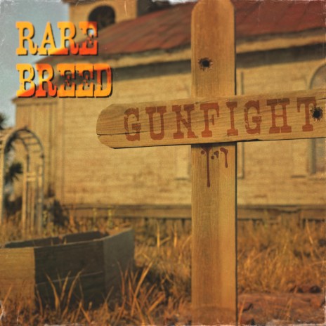 Gunfight | Boomplay Music