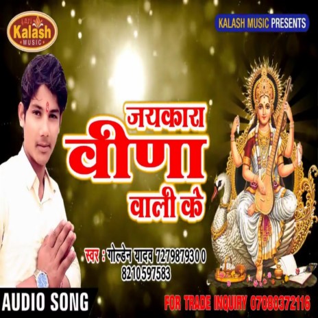 Jaykara Vina Wali Ke | Boomplay Music