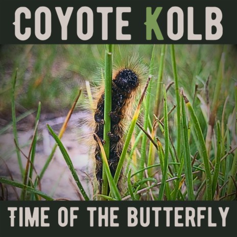 Time of the Butterfly | Boomplay Music