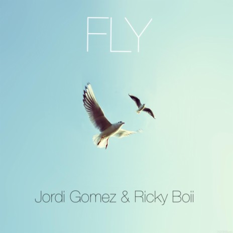 FLY ft. Ricky Boii | Boomplay Music