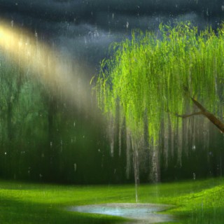 Spring Rain