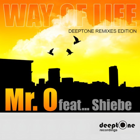 Way Of Life (feat. Sheibe) (Original Mix) | Boomplay Music