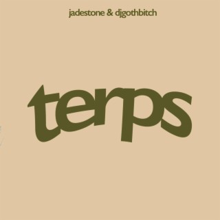 terps ft. DJGOTHBITCH lyrics | Boomplay Music