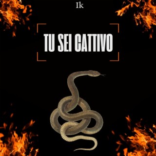 Tu sei cattivo lyrics | Boomplay Music