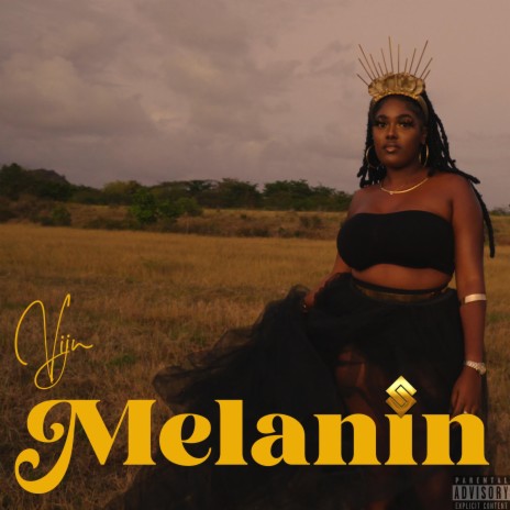 Melanin | Boomplay Music