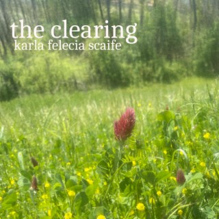 the clearing