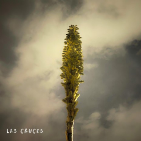 Las Cruces | Boomplay Music