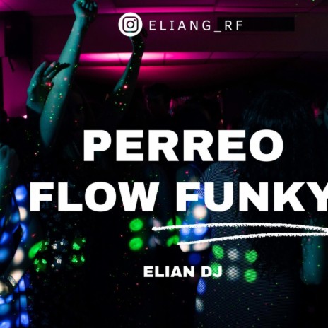 PERREO FLOW FUNKY | Boomplay Music
