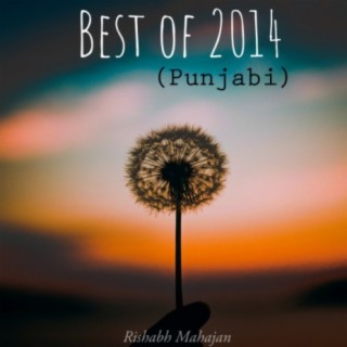 Best Of 2014 (Punjabi)
