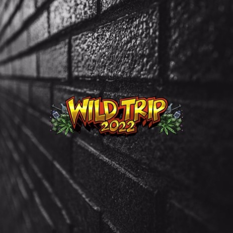 Wild Trip 2022 ft. Unge benz & Toset | Boomplay Music