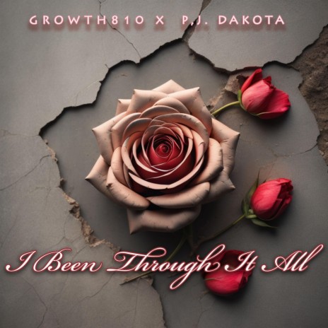 I Been Through It All ft. PJ Dakota | Boomplay Music