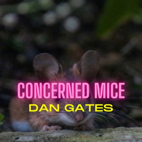 Concerned Mice | Boomplay Music