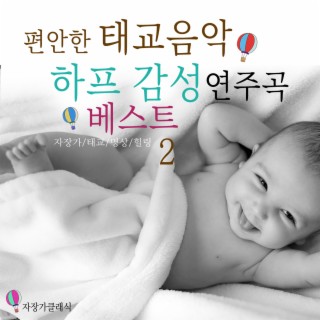 편안한 태교음악 하프감성 연주곡 베스트 2