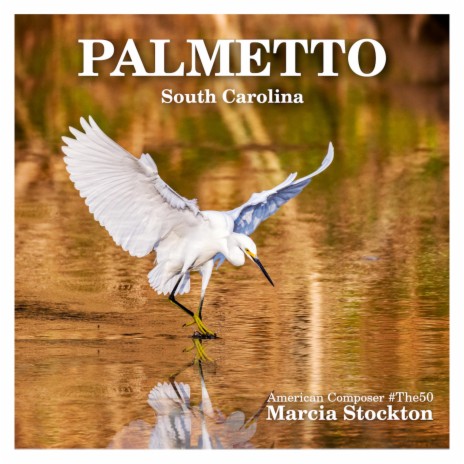 Palmetto (South Carolina) | Boomplay Music