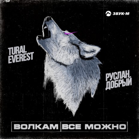 Волкам всё можно ft. Руслан Добрый | Boomplay Music