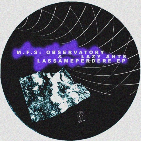 Lassameperdere ft. M.F.S: Observatory