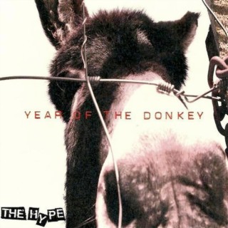 Year of the Donkey