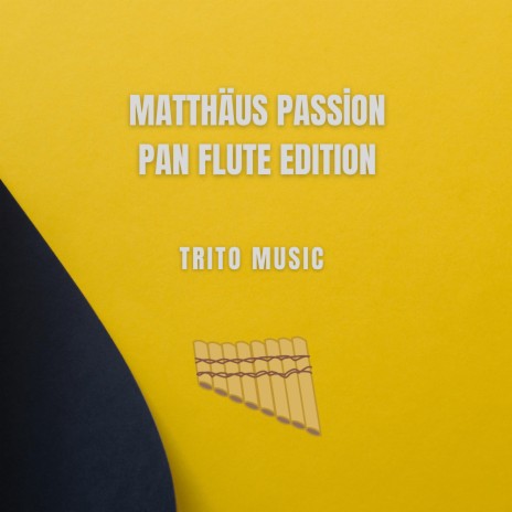 Matthäus Passion Pan Flute Edition